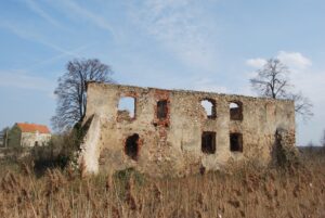 KOSTRZA, ruina dworu w widoku od zach., fot. P. Błoniewski, 2012