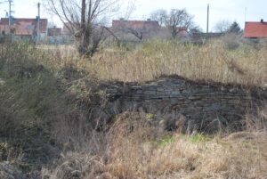 KOSTRZA, ruina dworu, fot. P. Błoniewski, 2012