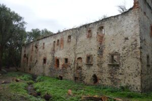 SŁUPICE, ruina dworu w widoku od pn.-skrzydło wsch.., fot. P. Bloniewski 2016