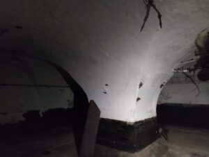 BRANICE, piwnica dawnego zamku o sklepieniu krzyżowym wspartym na kwadratowym filarze w skrzydle wsch. (fot. P. Siemko, lipiec 2023)