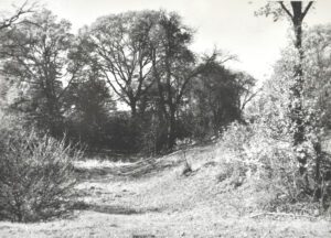 BEŁCZ MAŁY, widok na fosę i fragment kopca wg fotografii z 1971 r. (za: Archiwum WUOZ wrocław),