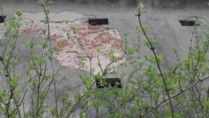 ZIEMIĘCICE, widoczny łuk głównego wejścia do domu pańskiego na południowej elewacji zewnętrznej (fot. P. SIEMKO)