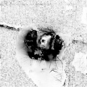 BRZEZIMIERZ, sky view factor (stopień widoczności nieba) otoczenia stanowiska na podstawie numerycznego modelu