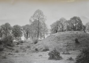 BRZEZIMIERZ, widok grodziska stożkowatego od strony S według fotografii z 1971 r. (archiwum WUOZ Wrocław)