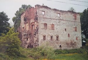 BORÓW POLSKI, widok dworu od strony E (fot. D. Nowakowski)