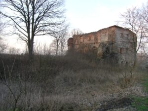 BORÓW POLSKI, widok dworu od strony S (fot. D. Nowakowski)