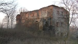 BORÓW POLSKI, widok dworu od strony S (fot. D. Nowakowski)