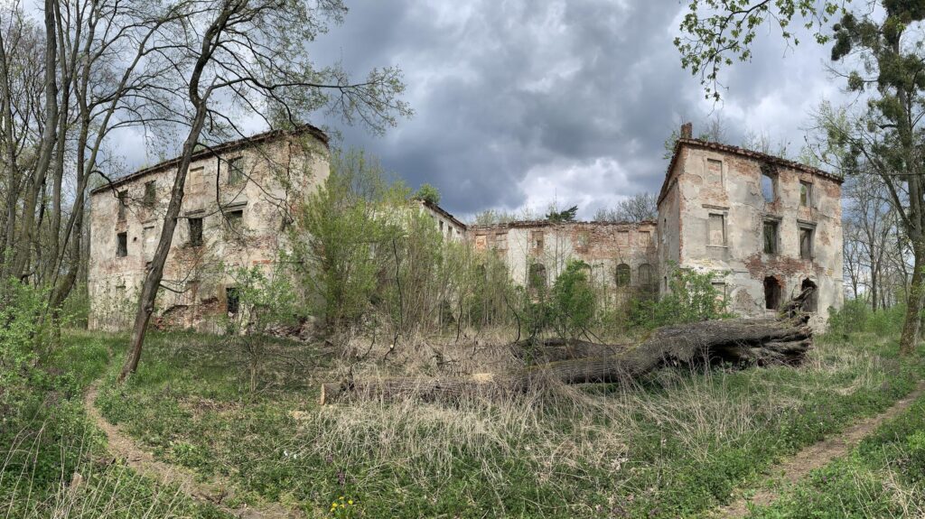 CHRZELICE, ruiny zamku od południa, 2020