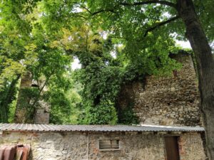 OTMĘT, ruiny zamku – stan w lipcu 2023 r. (fot. P. Siemko)