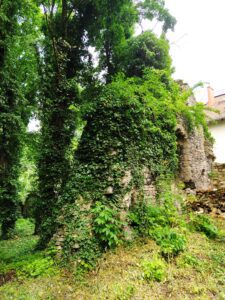 OTMĘT, ruiny zamku – stan w lipcu 2023 r. (fot. P. Siemko)