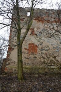 JAŹWINA – dwór górny (zach.). Zbliżenie zamurowanych okien szczelinowych, 2016 (fot. P Błoniewski)