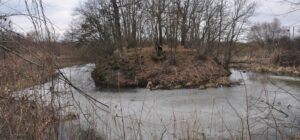 CZERNICA, widok na obiekt od strony E (fot. D. Nowakowski)