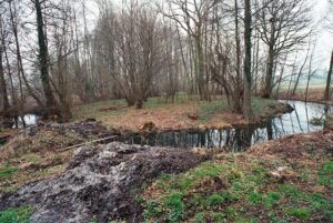 GÓRZYN, widok obiektu od strony NE (fot. D. Nowakowski)