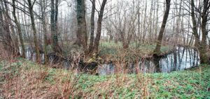 GÓRZYN, widok obiektu od strony NW (fot. D. Nowakowski)