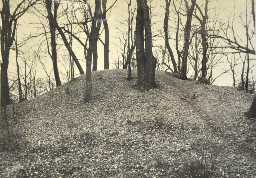 JAKUBÓW, widok na główny człon założenia od strony S według fotografii z 1976 r. (archiwum WUOZ Wrocław)