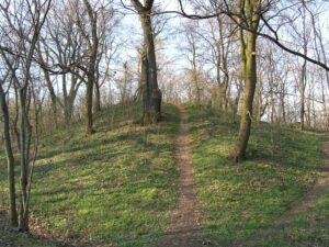 JAKUBÓW, współczesny widok na główny człon założenia od strony S (fot. D. Nowakowski)