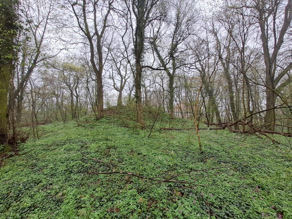JAKUBÓW, widok na wzgórze zamkowe od strony W (fot. D. Nowakowski)