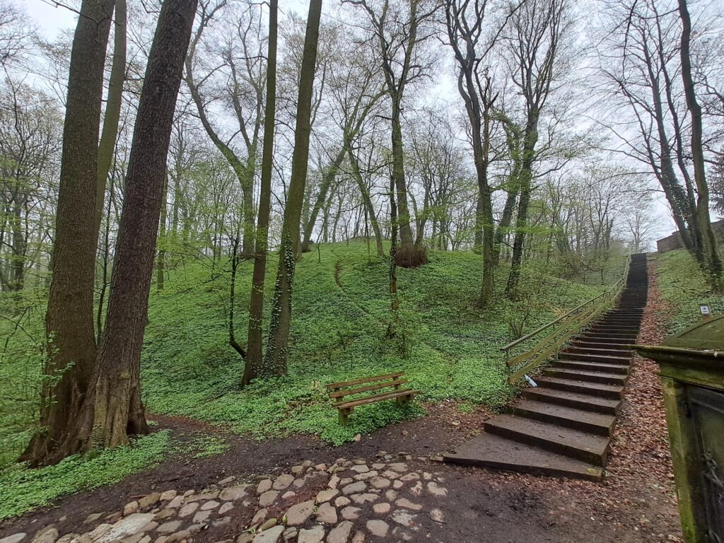 JAKUBÓW, widok na podzamcze i główny człon założenia od strony N (fot. D. Nowakowski)