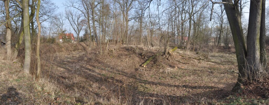 LUBNÓW, współczesny widok obiektu od strony S (fot. D. Nowakowski)