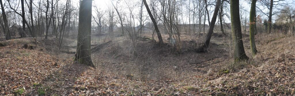 LUBNÓW, współczesny widok obiektu od strony N (fot. D. Nowakowski)