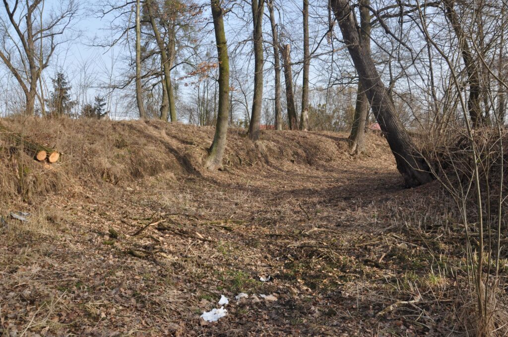 LUBNÓW, widok na północny odcinek fosy wewnętrznej (fot. D. Nowakowski)