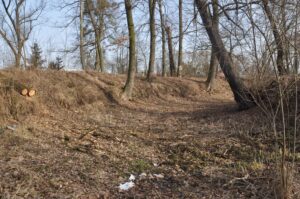 LUBNÓW, widok na północny odcinek fosy wewnętrznej (fot. D. Nowakowski)