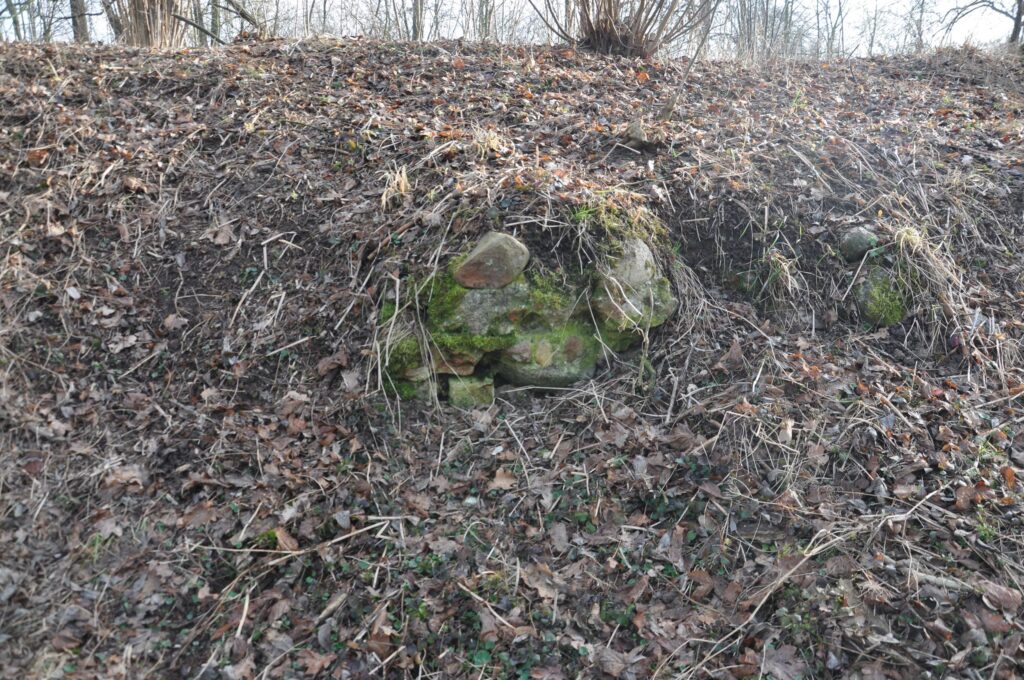 LUBNÓW, relikty kamienno-cegalnego muru czytelne przy W krawędzi kopca (fot. D. Nowakowski)