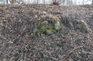LUBNÓW, relikty kamienno-cegalnego muru czytelne przy W krawędzi kopca (fot. D. Nowakowski)