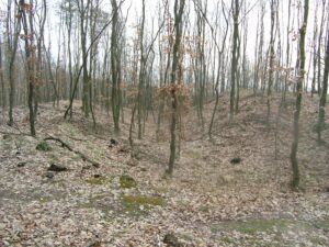 PODGÓRZYCE, widok stoku kopca, fosy wewnętrznej i wału od strony N (fot. D. Nowakowski)