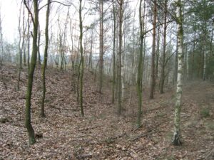 PODGÓRZYCE, widok kopca i fosy wewnętrznej od strony NW (fot. D. Nowakowski)