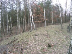PODGÓRZYCE, widok zachodniej części plateau i stoku kopca (fot. D. Nowakowski)