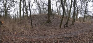 POGALEWO MAŁE, widok na N narożnik kopca (fot. D. Nowakowski)