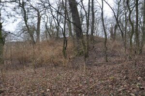 POGALEWO MAŁE, widok na obiekt od strony NW (fot. D. Nowakowski)