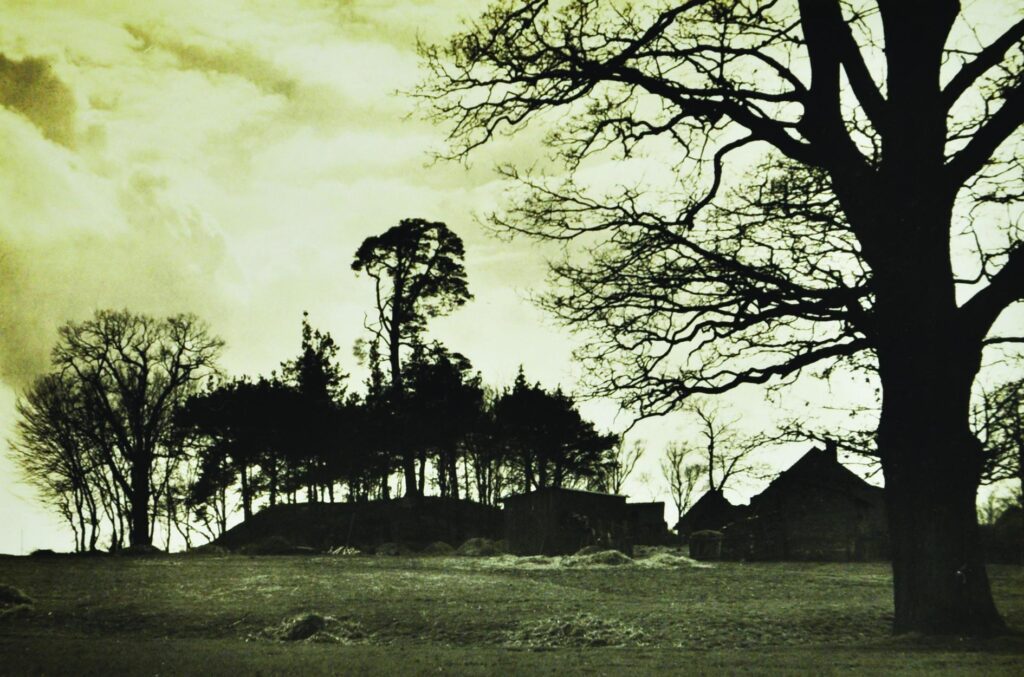 RADZYNA, widok założenia według fotografii z początku XX w. (Archiwum Muzeum Archeologicznego we Wrocławiu, teczka Kr. Groß Wartenberg, sygn. 374)