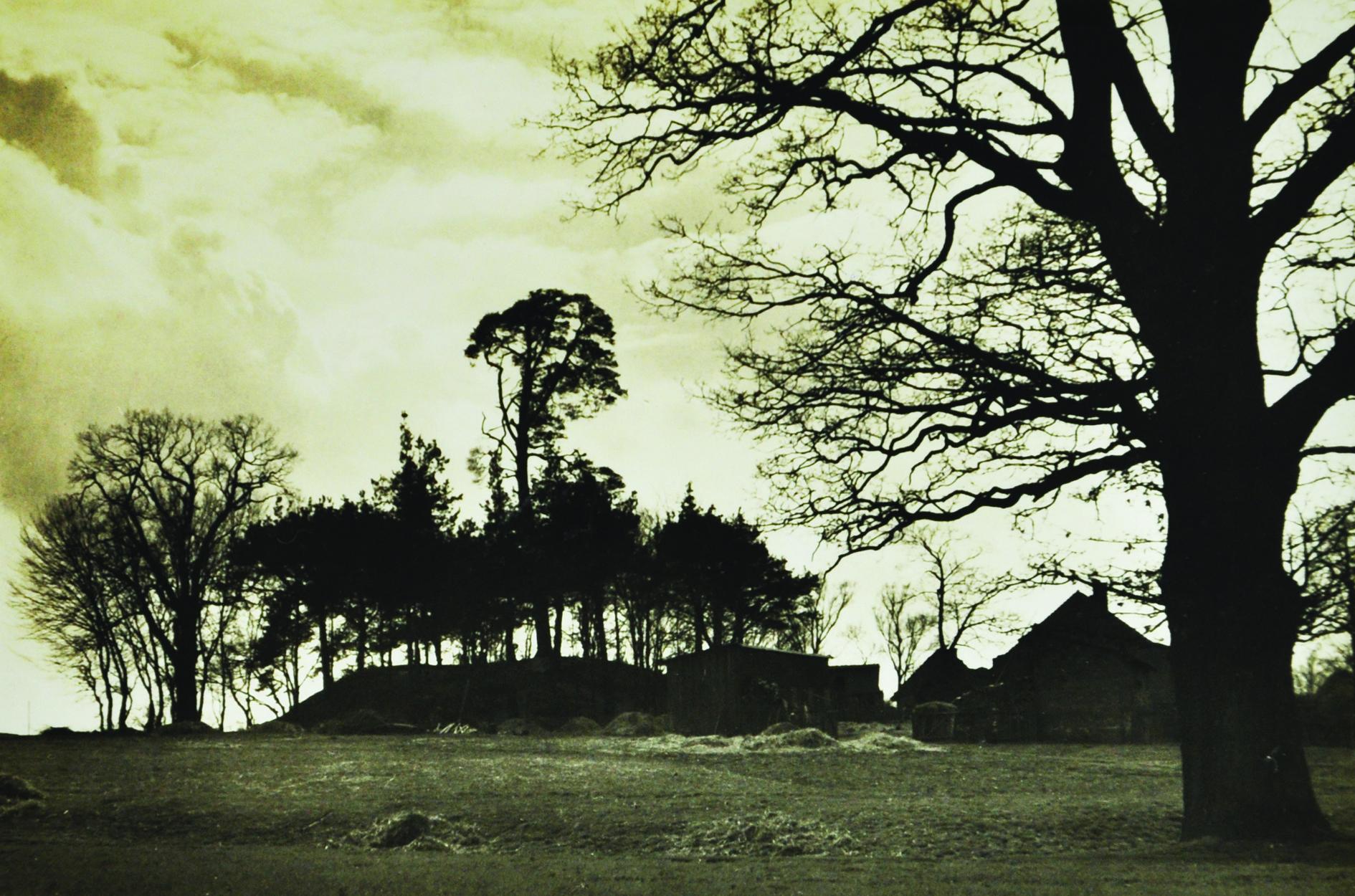 RADZYNA, widok założenia według fotografii z początku XX w. (Archiwum Muzeum Archeologicznego we Wrocławiu, teczka Kr. Groß Wartenberg, sygn. 374)