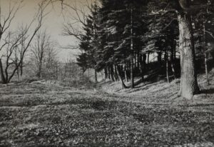 RYCZEŃ, widok na stok kopca i fosę według fotografii z 1970 r. (archiwum WUOZ Wrocław)
