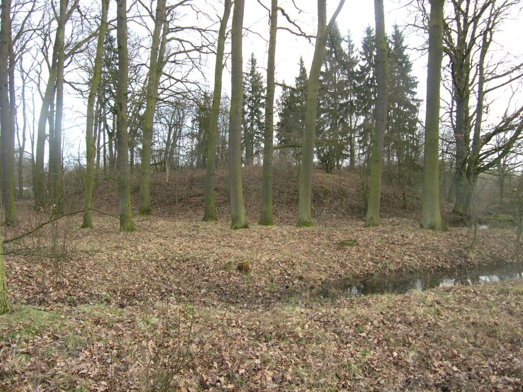 RYCZEŃ, współczesny widok grodziska od strony N, 2007 r. (fot. D. Nowakowski)