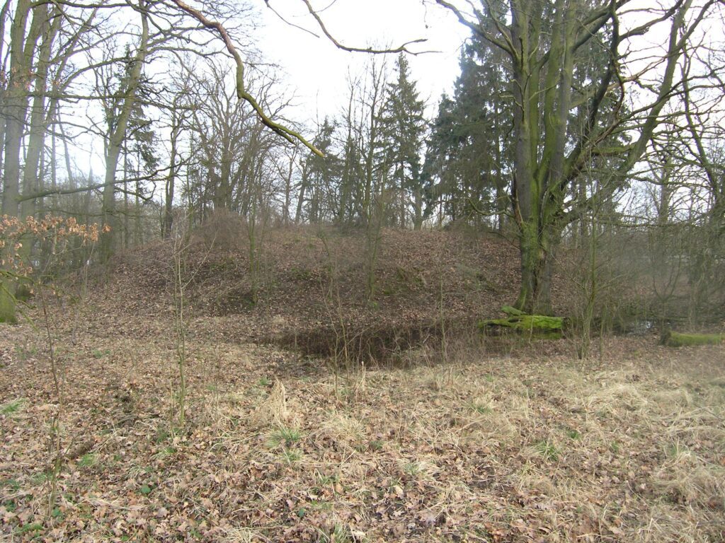 RYCZEŃ, współczesny widok grodziska od strony NW, 2007 r. (fot. D. Nowakowski)