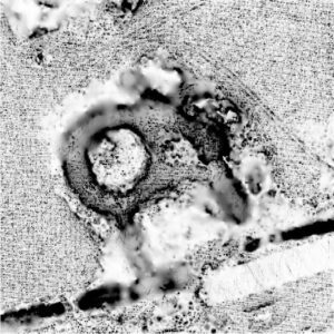 KŁOPOTÓW, sky view factor (stopień widoczności nieba) na podstawie numerycznego modelu terenu (oprac. M. Legut-Pintal, P. Rajski, Katalog Zamków i Dworów Obronnych Śląska [https://zamki.pwr.edu.pl/]. Licencja: CC BY-SA 4.0 [https://creativecommons.org/licenses/by-nc/4.0/])