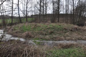 KŁOPOTÓW, widok na kopiec północny od strony S, 2013 r. (fot. D. Nowakowski)