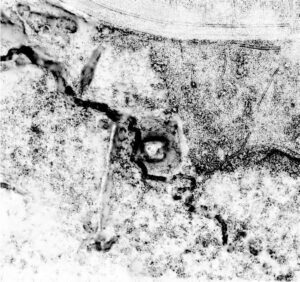 KRYNICZNO , sky view factor (stopień widoczności nieba) otoczenia stanowiska na podstawie numerycznego modelu terenu (oprac. M. Legut-Pintal, P. Rajski, Katalog Zamków i Dworów Obronnych Śląska [https://zamki.pwr.edu.pl/]. Licencja: CC BY-SA 4.0 [https://creativecommons.org/licenses/by-nc/4.0/])