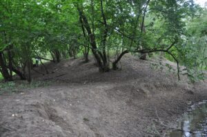 KRYNICZNO, współczesny widok na zachodni stok kopca od strony N, 2009 r. (fot. D. Nowakowski)