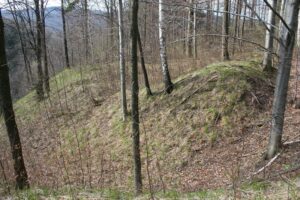 BARDO, st. 3, obwód obronny podzamcza, fot. A. Boguszewicz 2010