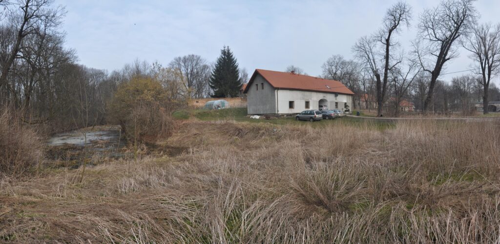 BORÓW, widok reliktów dworu od strony południowej, 2021 (fot. D. Nowakowski)