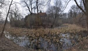 BORÓW, widok reliktów dworu od strony zachodniej, 2021 (fot. D. Nowakowski)