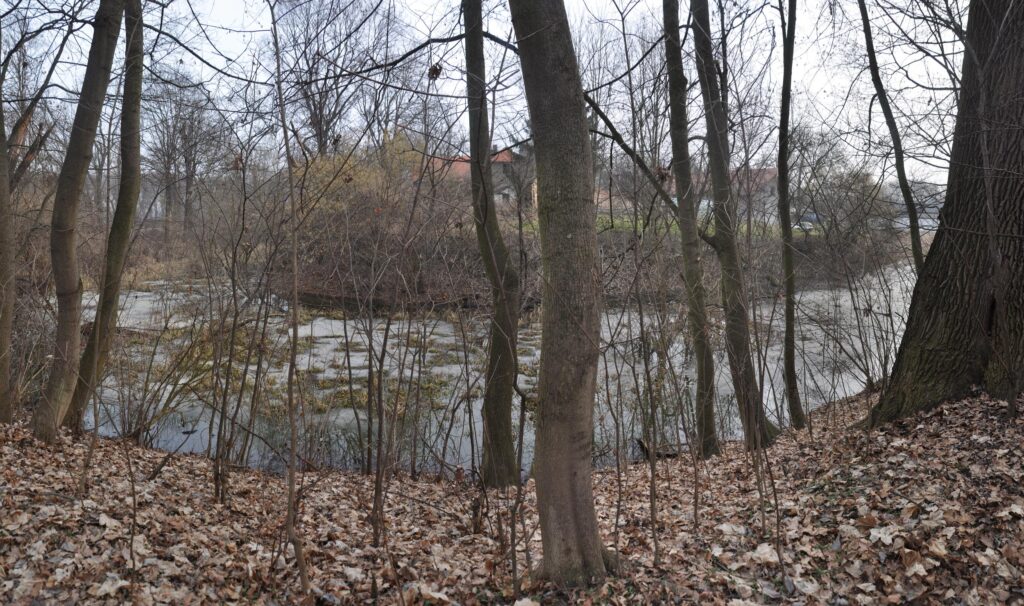 BORÓW, widok reliktów dworu od strony północno, 2021 -zachodniej (fot. D. Nowakowski)