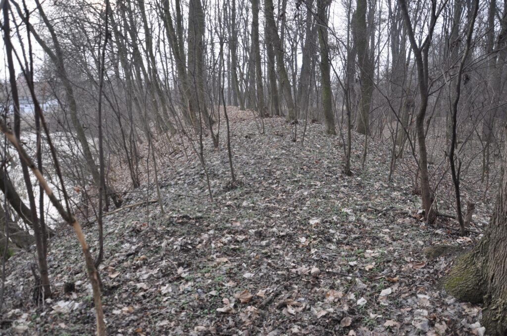 BORÓW, widok na południowo-zachodni odcinek wału zewnętrznego, 2021 (fot. D. Nowakowski)