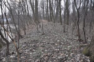 BORÓW, widok na południowo-zachodni odcinek wału zewnętrznego, 2021 (fot. D. Nowakowski)