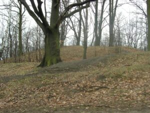 ŻAGAŃ, widok obiektu od strony północno-wschodniej, 2007 r. (fot. D. Nowakowski)