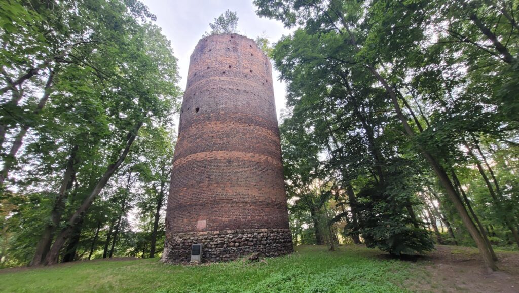 PRZEWÓZ, widok na wieżę, 2024 (fot. R. Biel, Katalog Zamków i Dworów Obronnych Śląska [https://zamki.pwr.edu.pl/]. Licencja: CC BY-NC 4.0 [https://creativecommons.org/licenses/by-nc/4.0/])